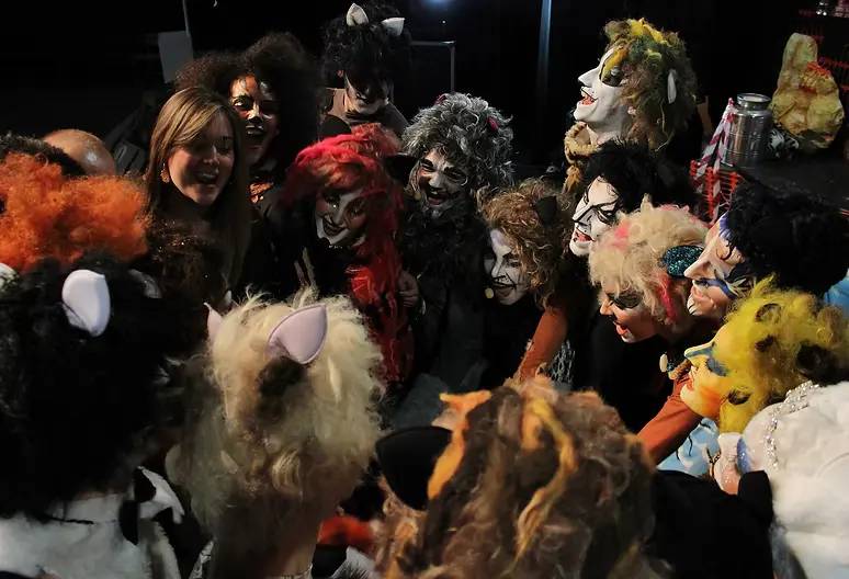Cats - remix